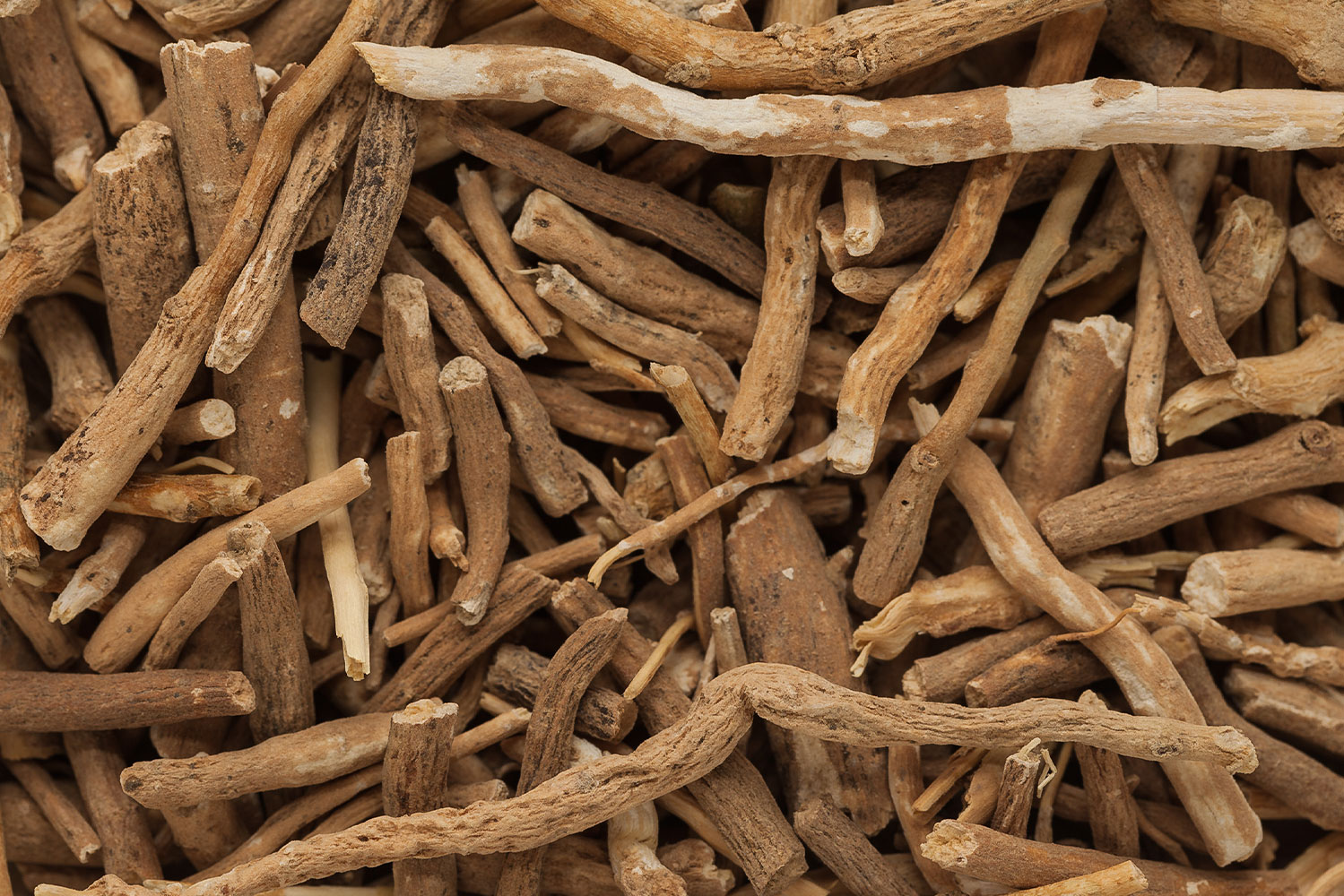 Ashwagandha: en omdiskuteret urteplante